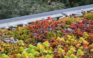 the cost of Cadbury Heath green roof installation