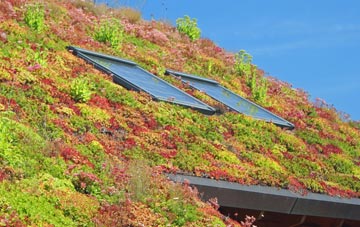 Cadbury Heath living roof systems
