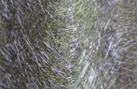 Cadbury Heath fibreglass roof work